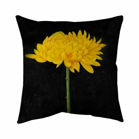 BEGIN HOME DECOR 20 x 20 in. Chrysanthemum-Double Sided Print Indoor Pillow 5541-2020-FL110